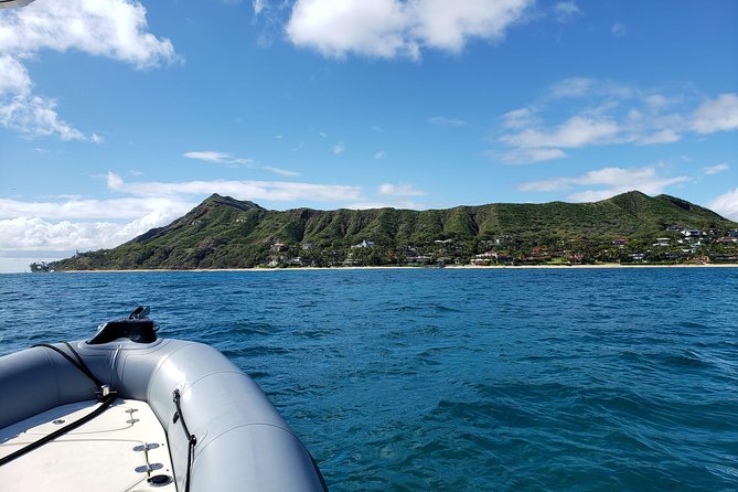 Private Snorkeling and Wildlife on The Adventure Boat - Why the Private Charter Can Be Worth $725