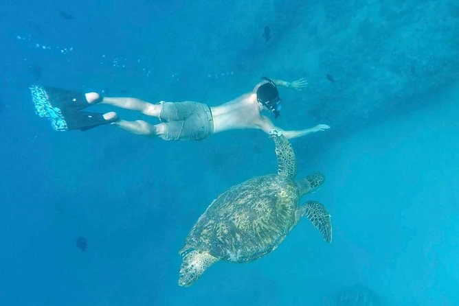 Private Snorkeling and Wildlife on The Adventure Boat - Diamond Head Views from the Water