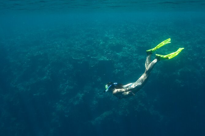 Private Snorkeling Experience in Aqaba Red Sea - The value of private attention in a one-hour outing