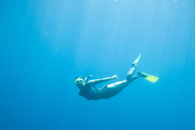 Private Snorkeling Experience in Aqaba Red Sea - Who should book this experience