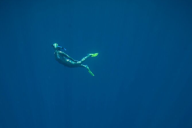 Private Snorkeling Experience in Aqaba Red Sea - Practical advice before your 9:00 am start