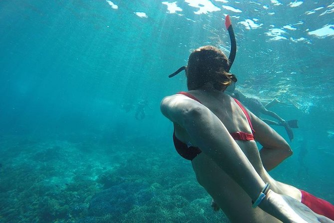 Private Snorkeling Gili Island (Coral, Statue and Turtle) - Guides, comfort, and safety