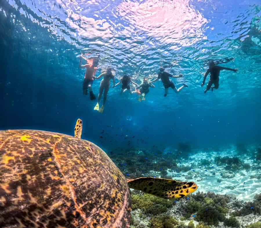 Private Snorkeling Gili Islands Full Day Tour - What makes this Gili Islands tour worth considering