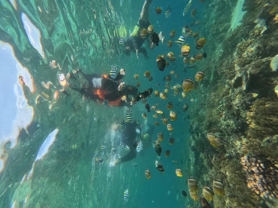 Private Snorkeling Gili Islands Full Day Tour - A practical look at the $72 price