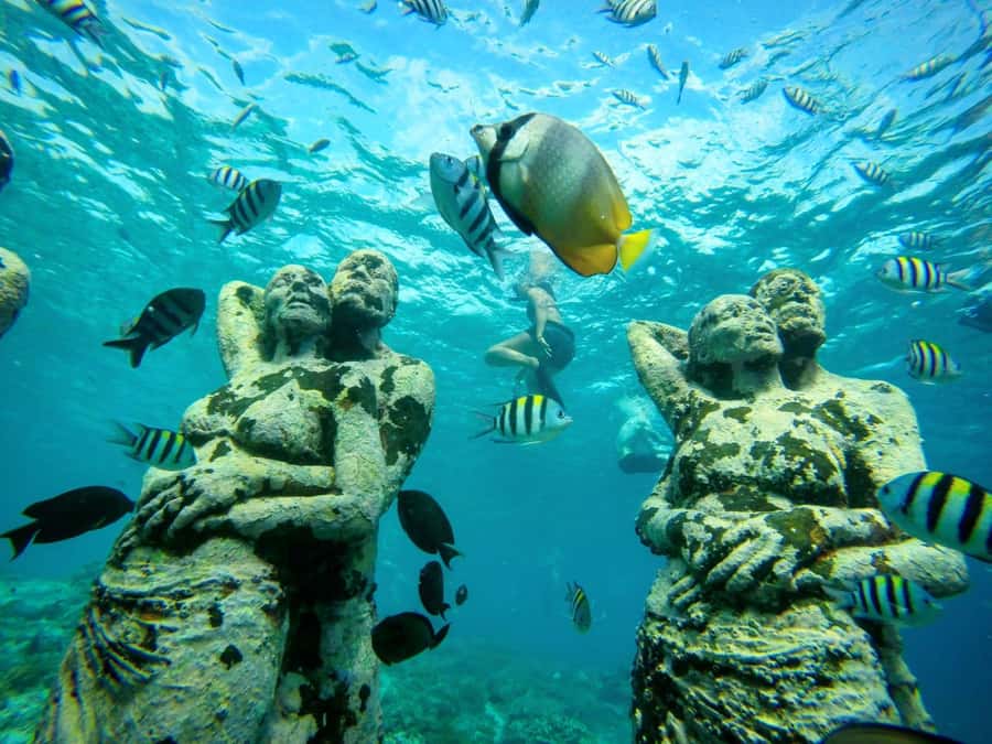Private Snorkeling Gili Islands Full Day Tour - Weather, boat safety, and the limits of the schedule
