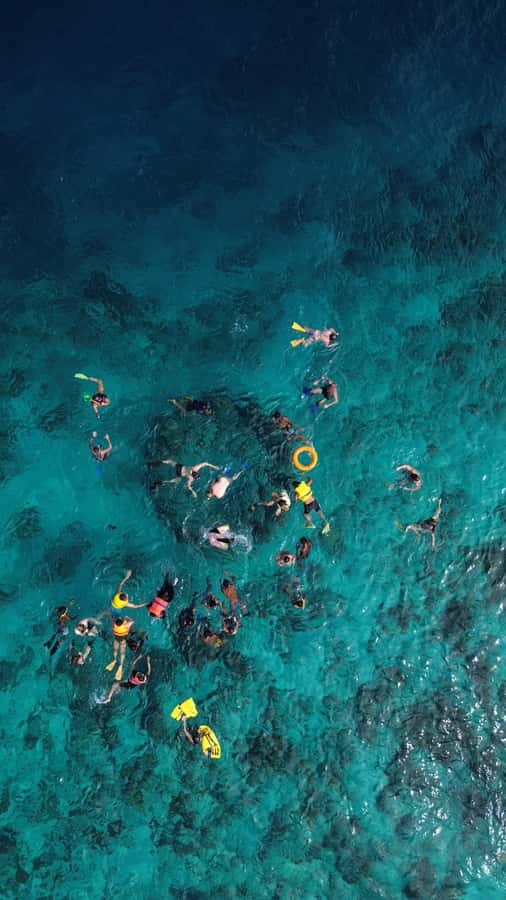 Private Snorkeling Gili Islands Full Day Tour - Starting from Senggigi or Mataram