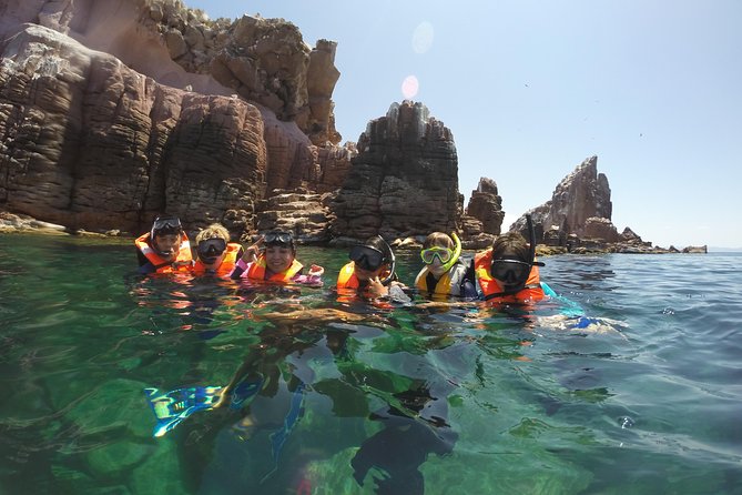 Private Snorkeling Tour in Cabo San Lucas - What you might see beneath the surface