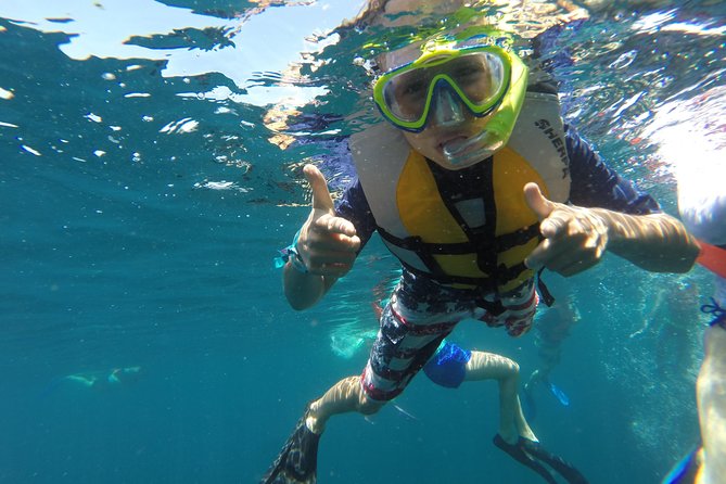 Private Snorkeling Tour in Cabo San Lucas - Meeting at CaboTrek Hotel Tesoro