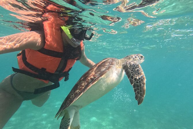 Private Snorkeling with Sea Turtles in Akumal Beach - Why Akumal Bay makes this snorkel special