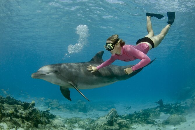 Private Speed Boat Snorkeling with Dolphins Trip - Hurghada - Key points before you book