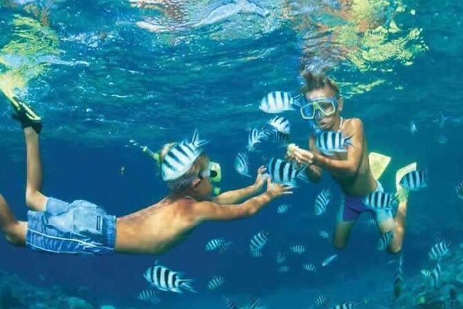 Private Speed Boat Snorkeling with Dolphins Trip - Hurghada - Time for water activities and refreshments