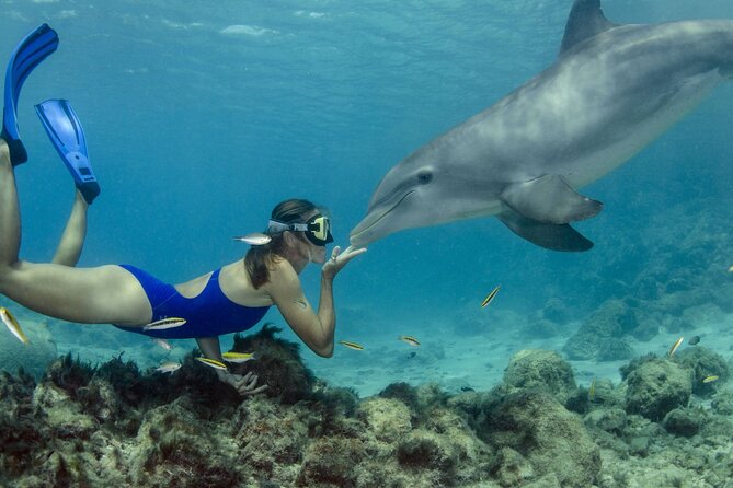 Private Speed Boat Snorkeling with Dolphins Trip - Hurghada - The speedboat ride to Dolphin House