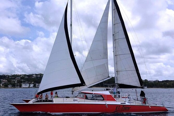 Private Tour: Barbados Catamaran Snorkeling Cruise - What the private format is worth