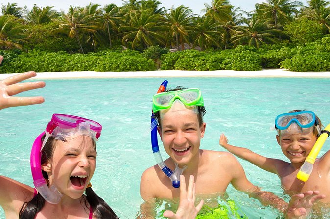 Private Tour: Barbados Catamaran Snorkeling Cruise - Who will enjoy this cruise most