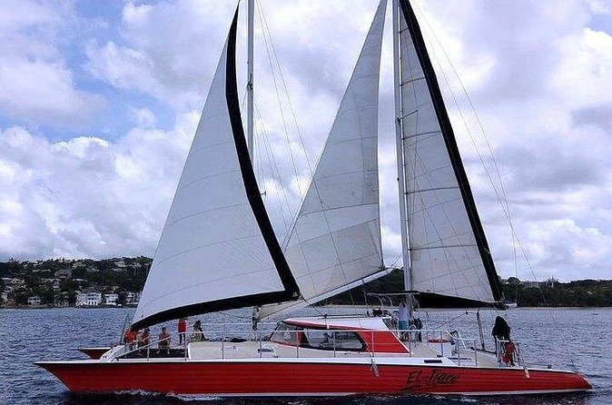 Private Tour: Barbados Catamaran Snorkeling Cruise - Practical advice before you book