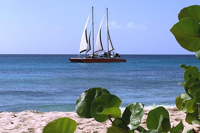 Private Tour: Barbados Catamaran Snorkeling Cruise - Holetown Folkestone Marine Park and the shipwreck