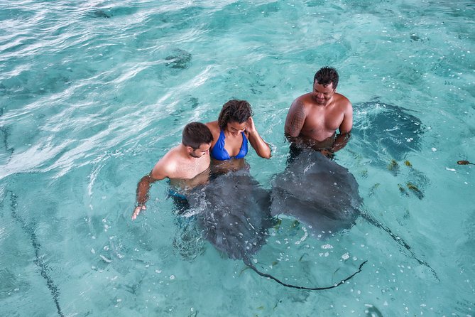 Private Tour: Bora Bora Lagoon Eco Snorkel Cruise - 3hrs or 6hrs - Coral gardens, rays, sharks, and the wildlife promise