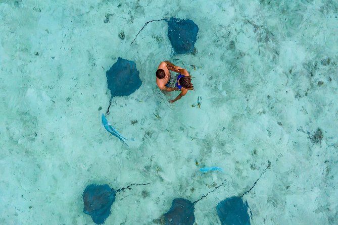 Private Tour: Bora Bora Lagoon Eco Snorkel Cruise - 3hrs or 6hrs - Is $346.08 per person good value?