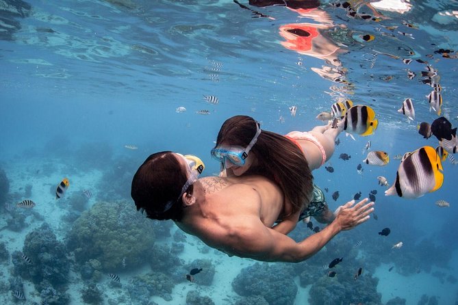 Private Tour: Bora Bora Lagoon Eco Snorkel Cruise - 3hrs or 6hrs - Who will enjoy this private cruise most?