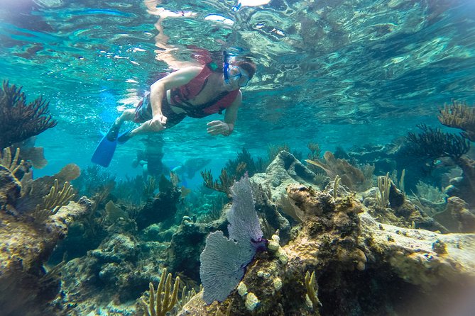 Private Tulum Ruins, Reef Snorkel & Cenote Adventure - Tulum ruins with the Caribbean behind you