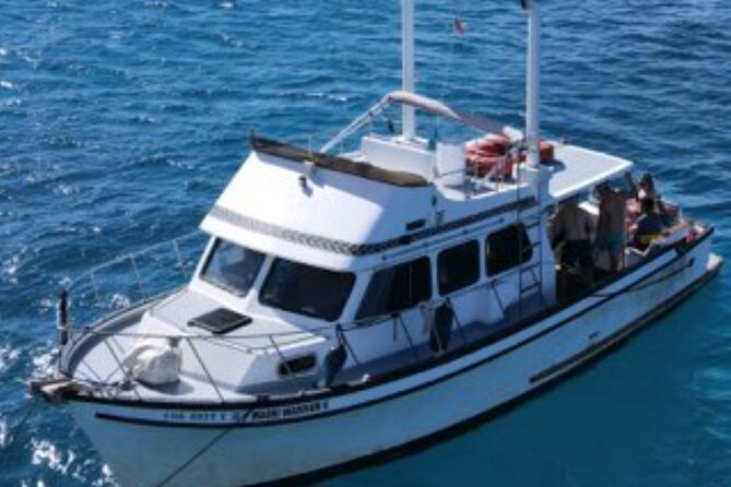 Private Turtle Canyon Snorkel Tour - Up to 6 Passengers - Harbor arrival and day-of planning
