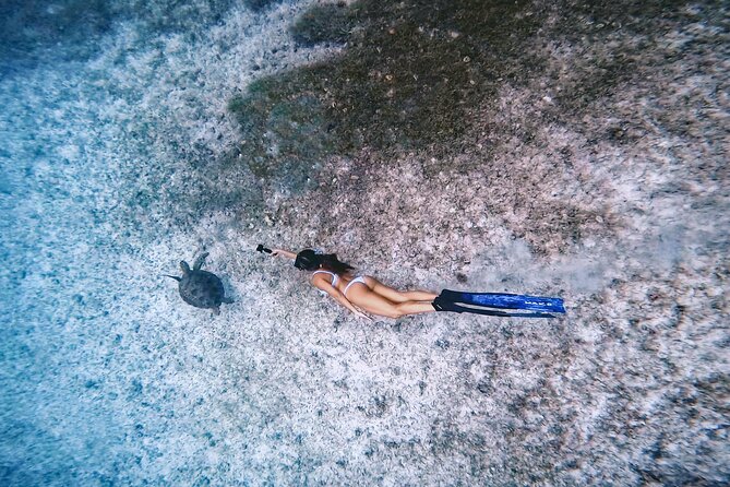 Private Turtle Spotting Snorkeling Excursion in Aruba - Why Tres Trapi makes this a special Aruba outing