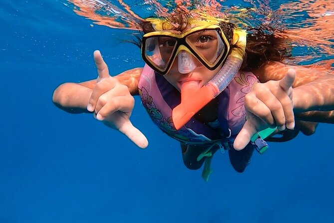 Private Turtle Spotting Snorkeling Excursion in Aruba - What the private format adds