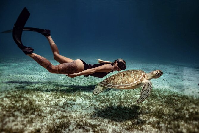 Private Turtle Spotting Snorkeling Excursion in Aruba - Is $97 per person a fair price?
