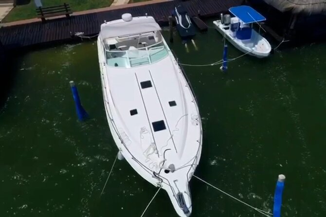 Private Yacht 46ft Sea Ray Snorkel up to 15 pax 23P2 - The yacht, crew, music, and onboard comfort