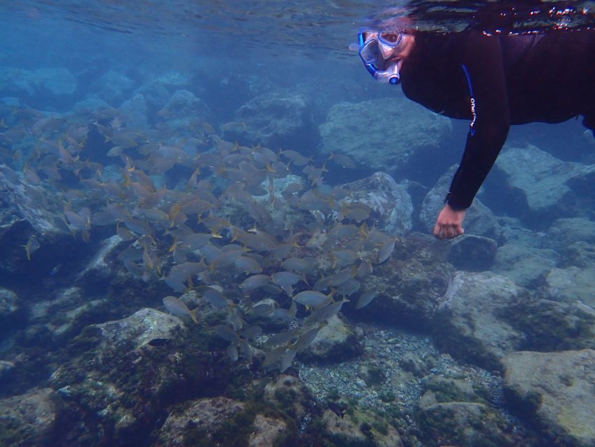 Puerto del Carmen: Snorkeling Trip with Dive Instructor - Why the guide matters for beginners