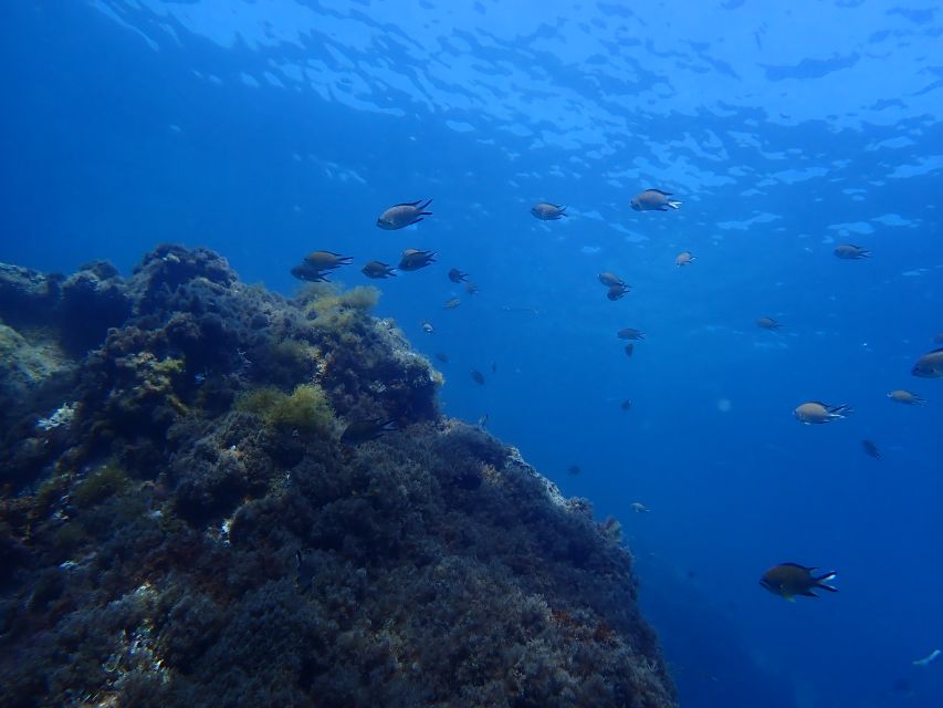 Puerto del Carmen: Snorkeling Trip with Dive Instructor - Is $65 a fair price?