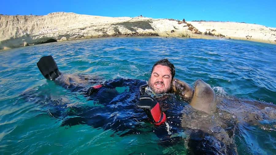 Puerto Madryn: Snorkeling Trip with Sea Lions - Punta Loma by boat, with wildlife along the way