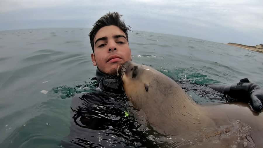 Puerto Madryn: Snorkeling Trip with Sea Lions - Guides who keep the mood friendly and safe