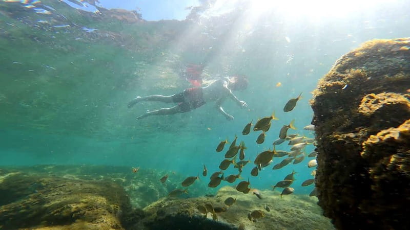 Puerto Mogán: Guided Adventure Kayak Tour in Caves & Snorkel - Key points to know before you book