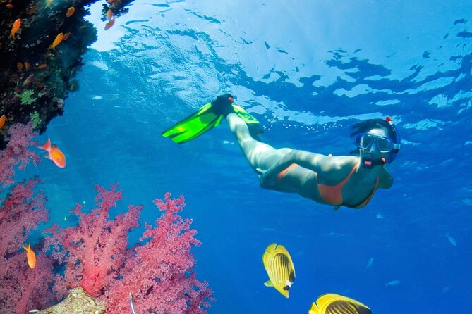 Puerto Morelos Catamaran Reef Sail and Snorkel - A catamaran built for relaxing