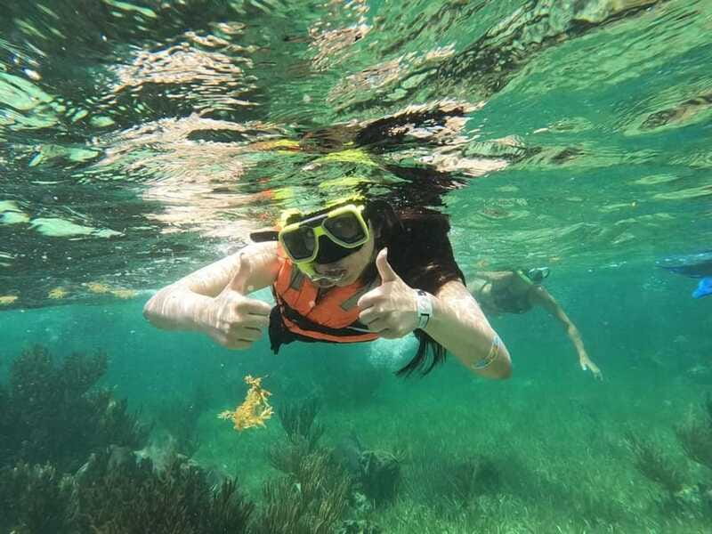 Puerto Morelos: Guided Snorkeling Tour with Gear & Fees - Who will enjoy this Puerto Morelos outing