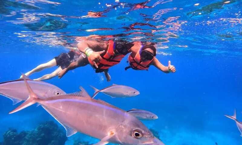 Puerto Morelos: Guided Snorkeling Tour with Gear & Fees - Booking details worth keeping in mind