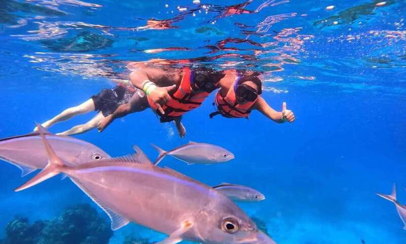 Puerto Morelos: Guided Snorkeling Tour with Gear & Fees - The first Puerto Morelos reef stop