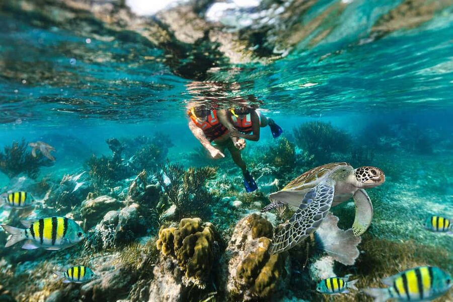 Puerto Morelos: National Reef Park Snorkeling & Beach Lunch - Why Puerto Morelos makes a good reef day