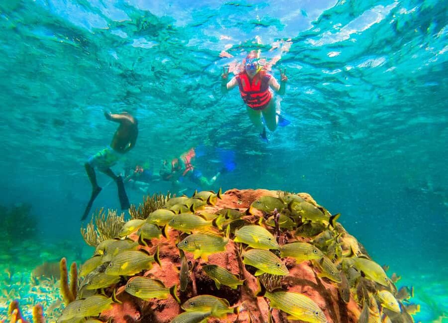 Puerto Morelos: National Reef Park Snorkeling & Beach Lunch - Beachside tacos and a drink-free lunch stop