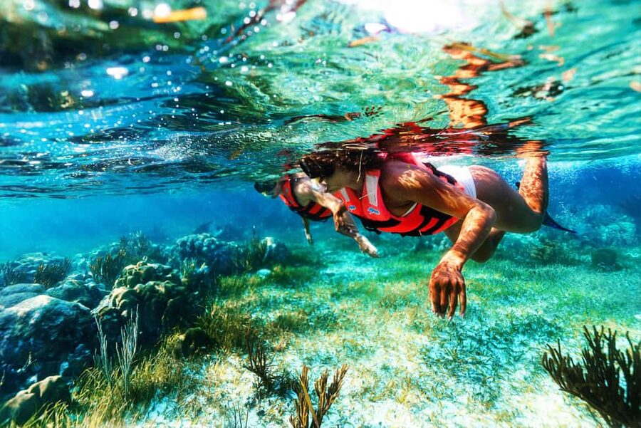 Puerto Morelos: National Reef Park Snorkeling & Beach Lunch - What the $39 price really delivers
