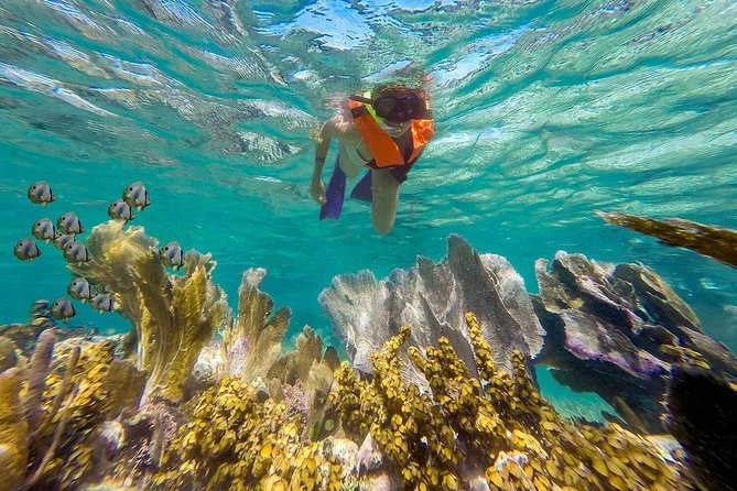 Puerto Morelos Reef Snorkeling Tour with Lunch & Hotel Pickup - Lunch at Puerto Morelos Fish Market