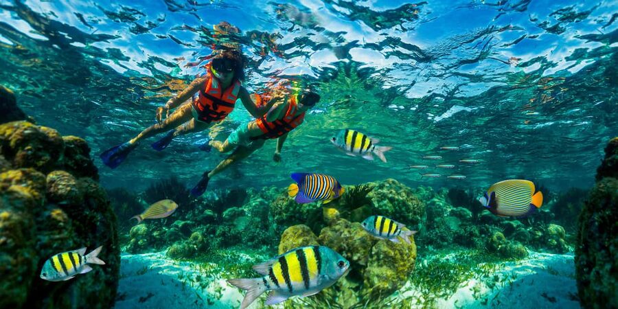 Puerto Morelos: Snorkel, Town Walk, Tequila & Beach Lunch - The reef, tacos, tequila, and practical costs