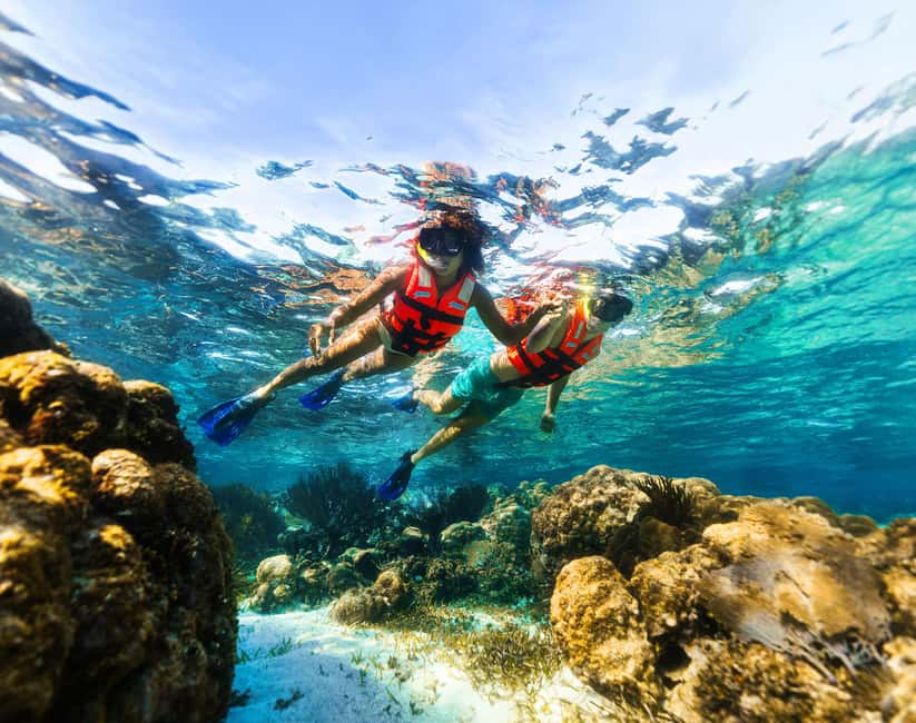 Puerto Morelos: Snorkel, Town Walk, Tequila & Beach Lunch - What the 80-minute snorkeling session is really like