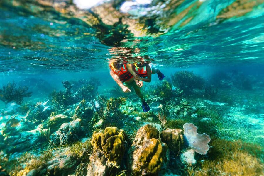 Puerto Morelos: Snorkel, Town Walk, Tequila & Beach Lunch - Who should book it?