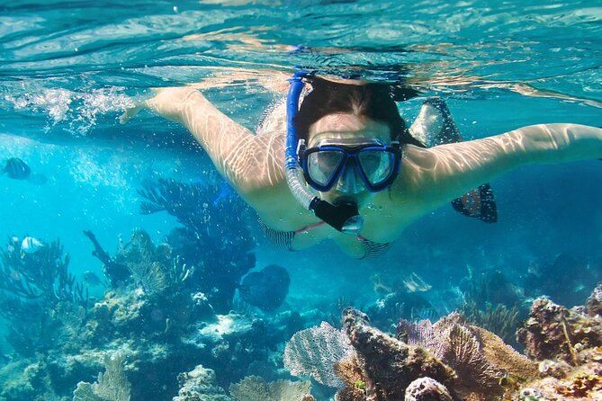 Puerto Morelos Snorkel, Town Walk, Tequila Tasting & Beach Lunch - Puerto Morelos town time and tequila tasting