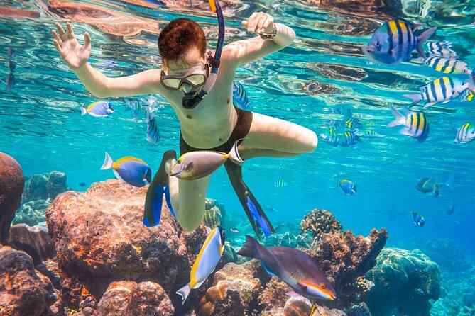 Puerto Morelos Snorkel, Town Walk, Tequila Tasting & Beach Lunch - The real price: $40.84 plus the reef fee