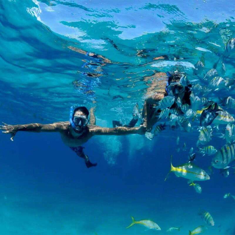 Puerto Morelos: Snorkeling at The National Reef Park - Reaching the reef from Crazy Fish Tacos