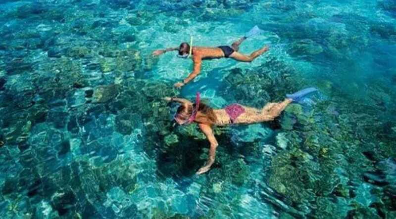 Puerto Morelos: Snorkeling at The National Reef Park - Practical preparation for the two-hour outing
