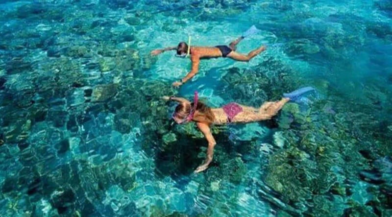 Puerto Morelos: Snorkeling at The National Reef Park - Two stops, not one hurried swim